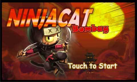 NinjaCat Bombay_pic1