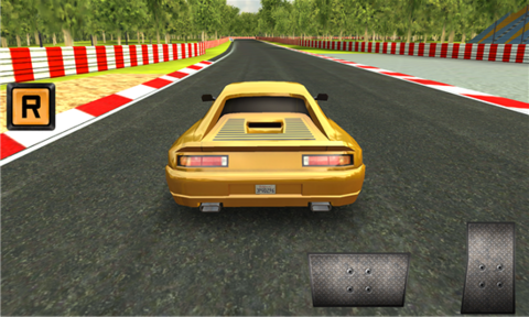 (Need for Car Racing)_pic3