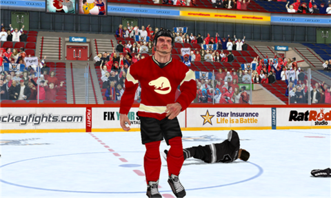 (Hockey Fight)_pic5