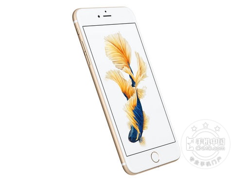 苹果6sP多少钱 iPhone 6sP现货仅4288元 